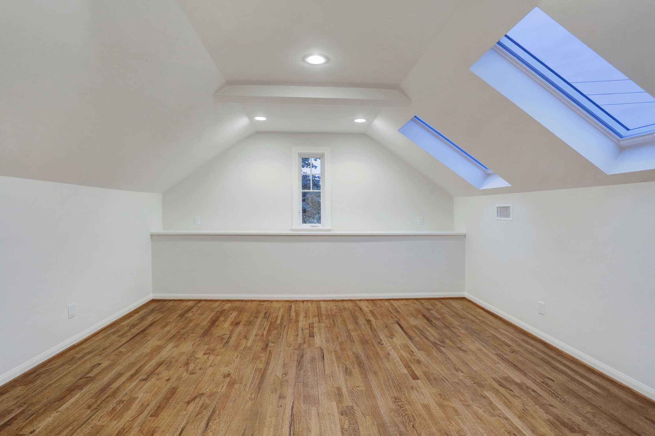 Bonus Room with Skylights   